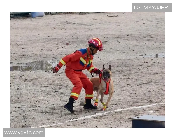 南京同曦与福建男篮激战正酣谁能在赛场上笑到最后