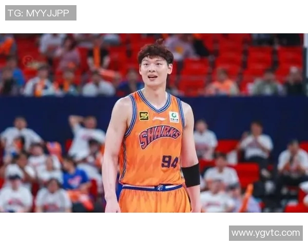 王哲林领衔中国篮球新篇章展现实力与魅力的崛起之路