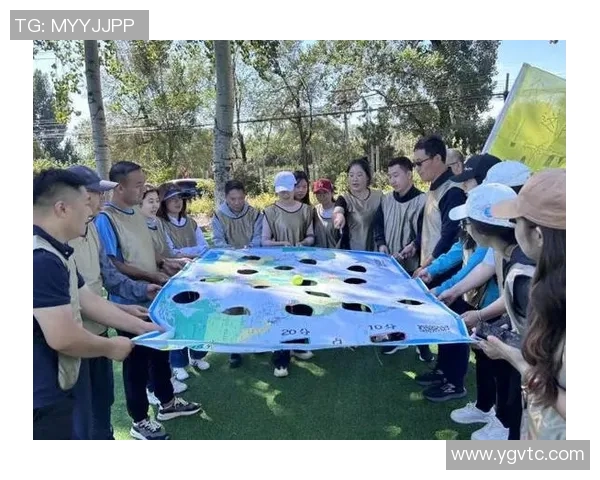 飞盘热潮下的上海飞盘队个人能力提升与团队协作新探讨MBA